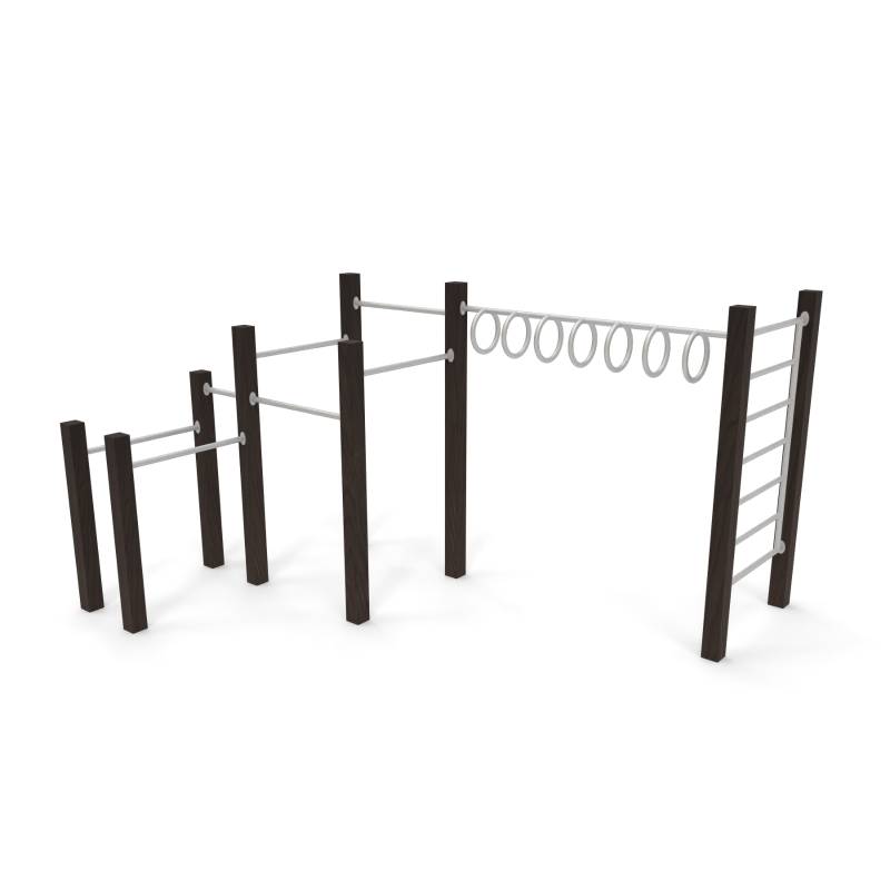 Street Workout 1.0